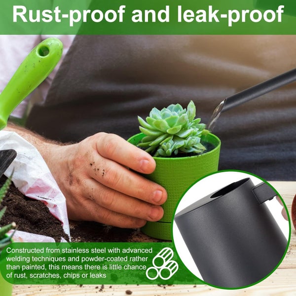 1000ml Plants Watering Can Stainless Steel Watering Pot with Long Spout and Wo Carousel 2