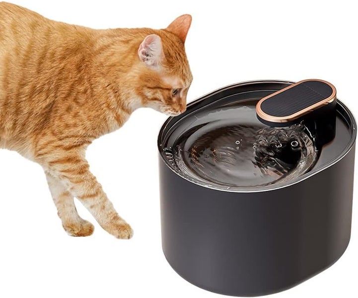 NEW Cat Water Fountain - NEW *IN STOCK NOW* Carousel 1
