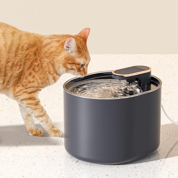 NEW Cat Water Fountain - NEW *IN STOCK NOW* Carousel 2