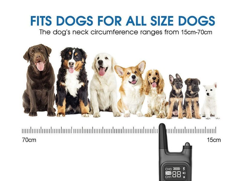 New Dog Training Collars on Afterpay Carousel 2