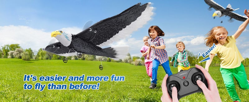 RC Plane, Remote Control Eagle Plane,RTF Airplane,2.4GHZ 2CH Flying Bird with 2 Carousel 2