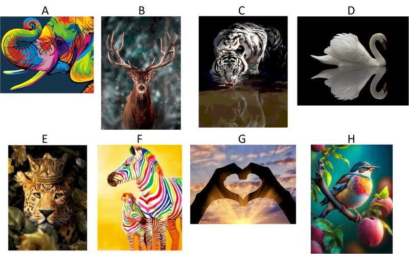 DIY Paint By Number Abstract Animals - NZ Stock - Limited Quantities in stock Carousel 1