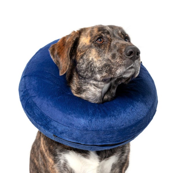 DOG COLLAR CALM PAWS INFLATABLE PROTECTIVE COLLAR XTRA LARGE Carousel 2