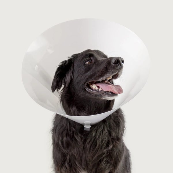 DOG COLLAR - BETSY RECOVERY COLLAR - EXTRA LARGE 45-56CM NECK 30CM Carousel 2