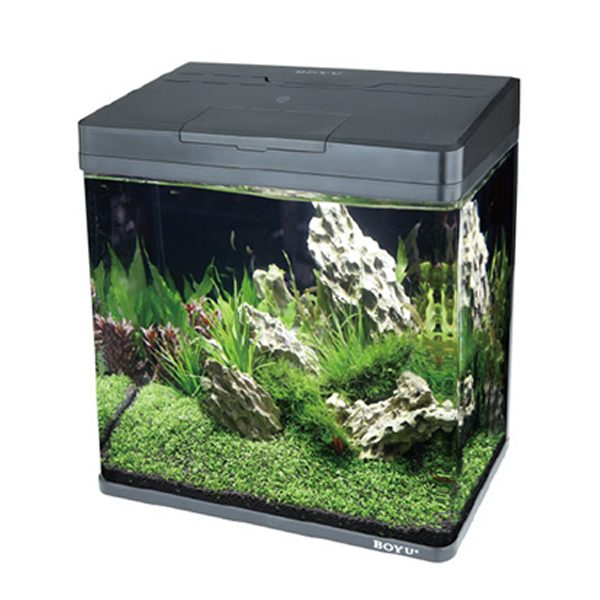 Boyu MS-220 All In One Curved Plastic Aquarium Fish Tank Filter LED 8L Black Carousel 3