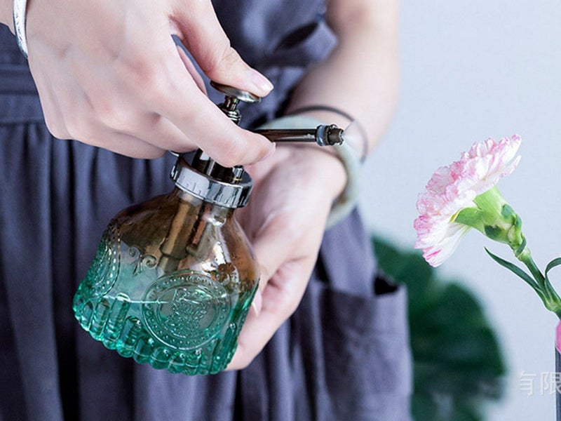 2Pcs Glass Plant Mister Spray Bottle Watering Bottle with Top Pump Carousel 4