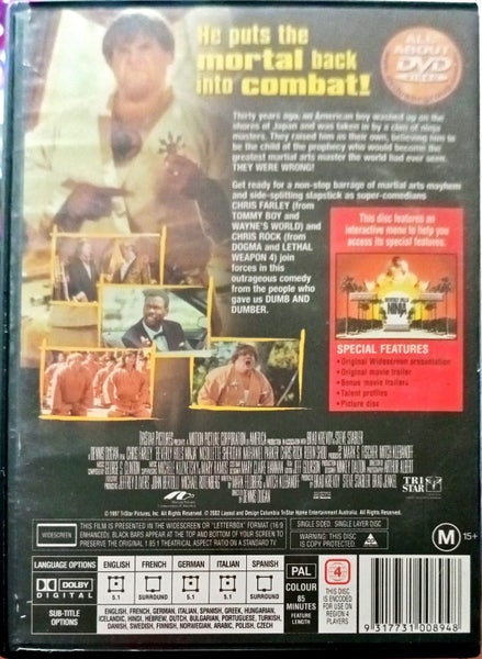 Beverly Hills Ninja Carousel 2