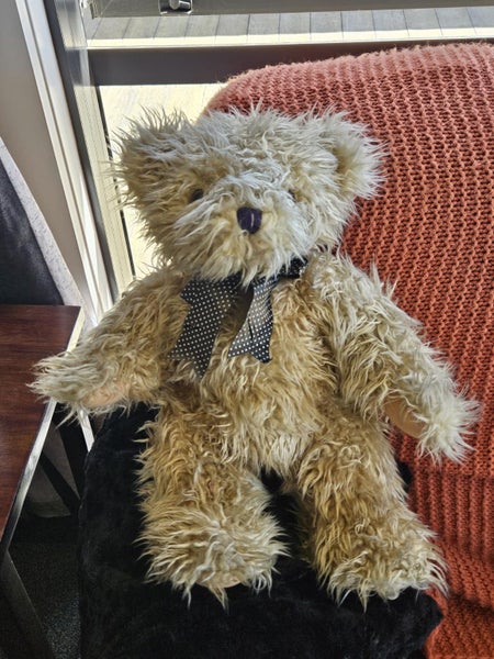 Cuddly soft Teddy Bear (43)cm tall Carousel 1