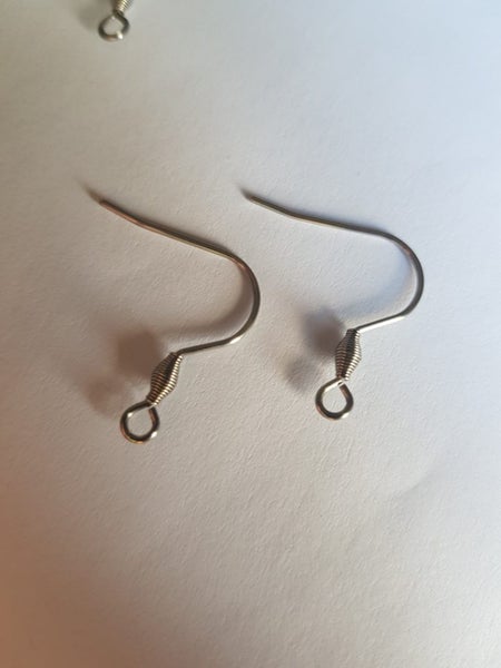 Stainless Steel Earring Hooks Carousel 2