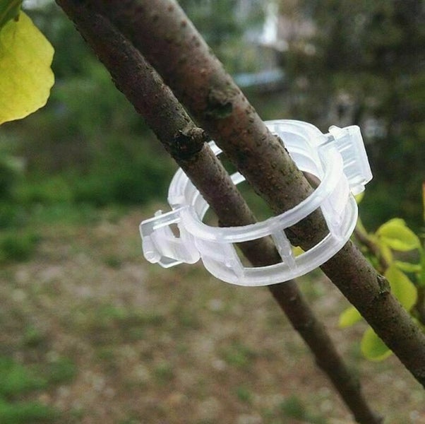 Plant Support Clips Tomato Hanging Trellis Connect Clips 50PCS Carousel 2