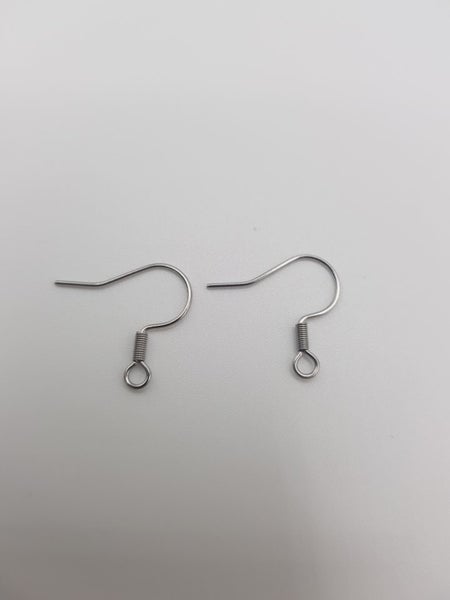 Earring Hooks Stainless Steel 19mm 10 pairs Carousel 1