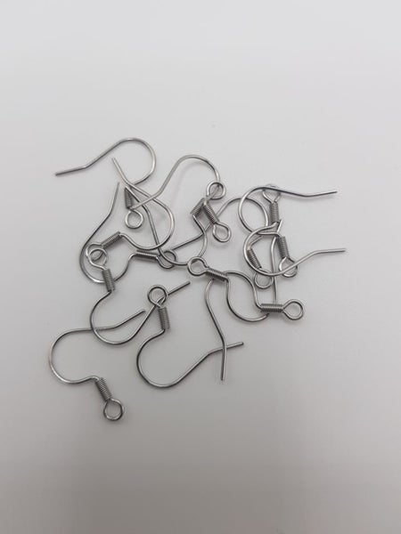 Earring Hooks Stainless Steel 19mm 10 pairs Carousel 2