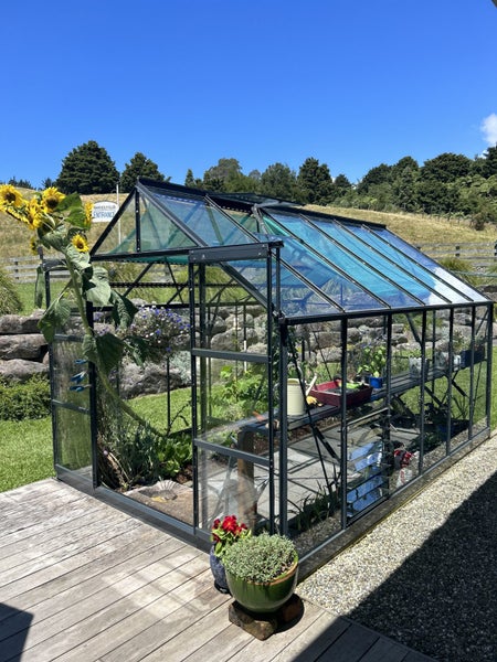 Glasshouse Greenhouse63001745509122114