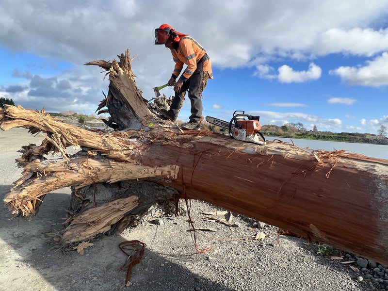 RIMU SLAB 3.2m x 900mm x 90mm Carousel 4