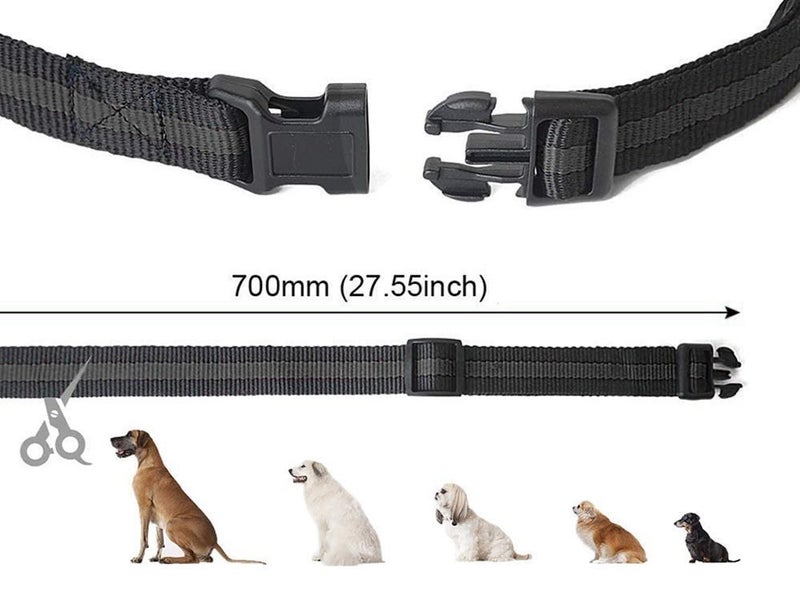 New Dog Training Collars on Afterpay63617769088001112