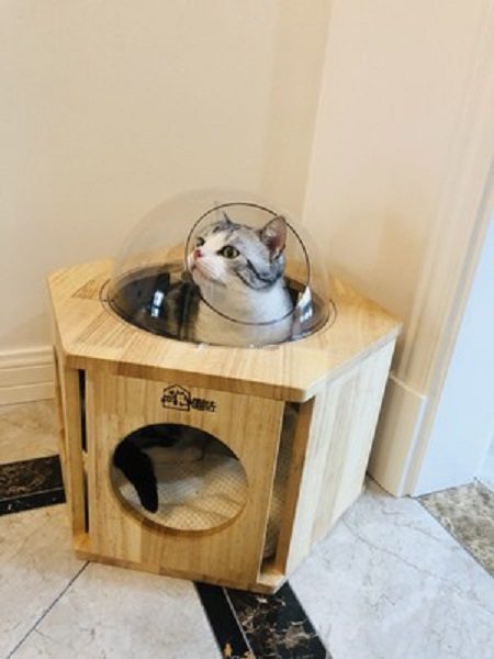 Cat Bed Oak Wood Cat House Cat Climbing Carousel 12
