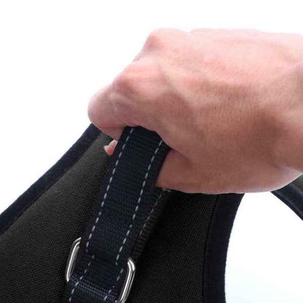 Harness Dog Harness Vest XS BK Carousel 8