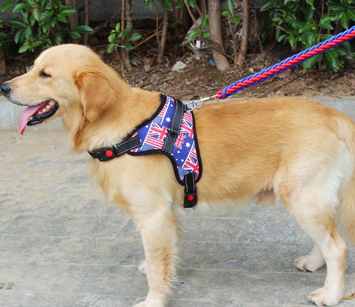 Dog Harness XL Carousel 1