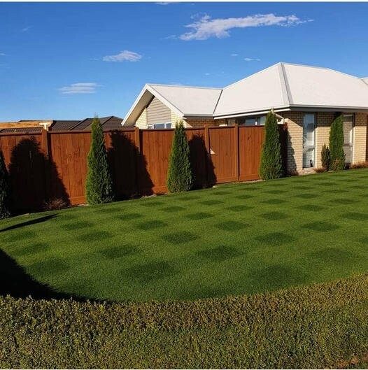 NZLA Perennial Dark Rye (Lawn Seed) - - - [5kg] Carousel 2