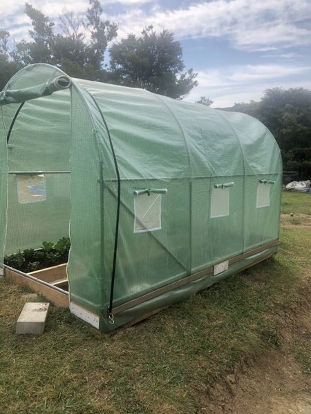 Tunnelhouse Greenhouse 3.5x2M Carousel 2