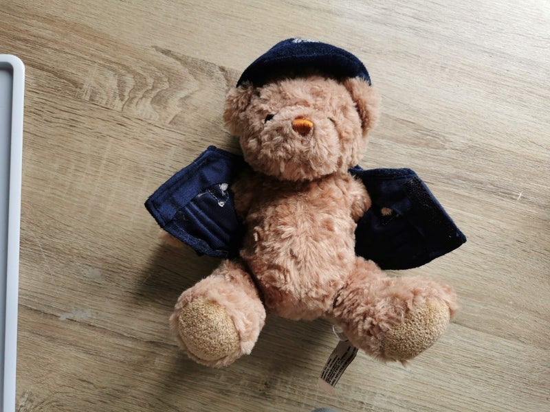 Keel Toys Limited ER British Police Man Collectable Bear Carousel 5