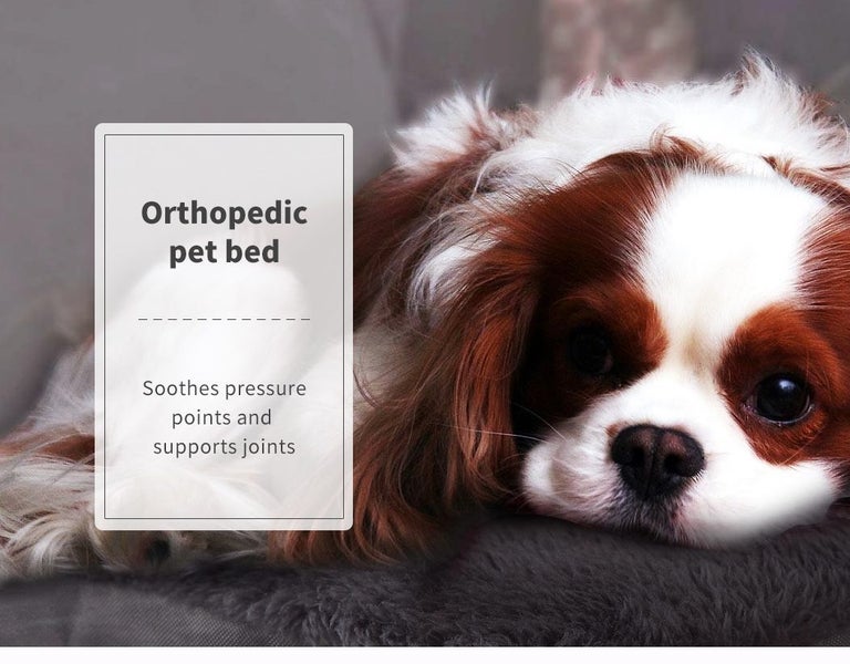 Pawz Pet Bed Foldable Dog Puppy Beds Cushion Pad Pads Soft Plush Black XL Carousel 9