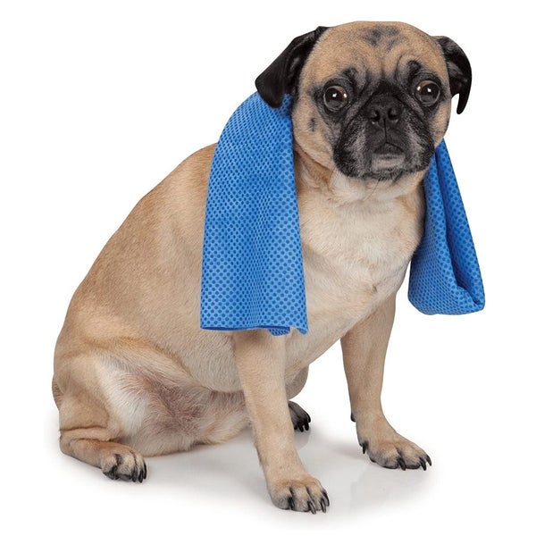 COOL PUP COOLING TOWEL Carousel 6