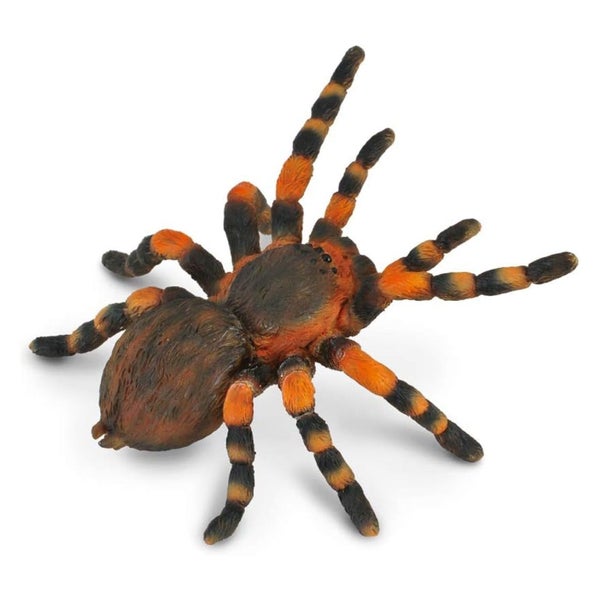CollectA Mexican Red Kneed Tarantula Carousel 1