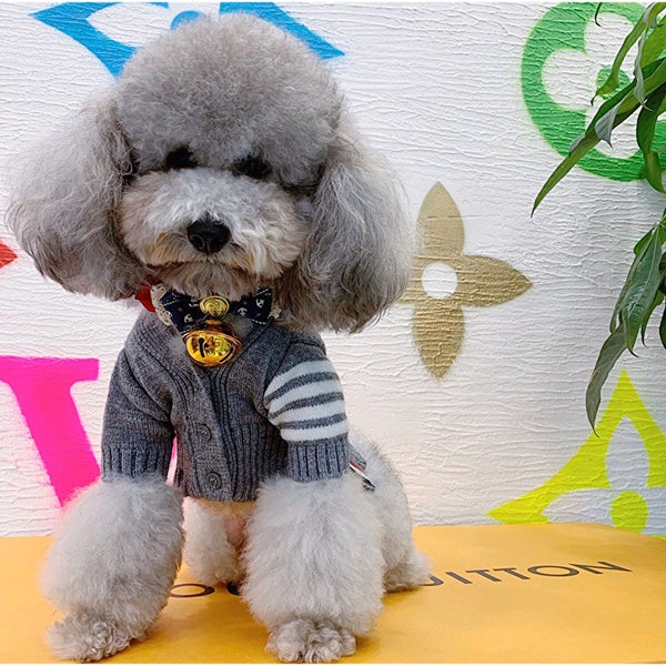 Sweater Autumn Winter Cardigan Cat and Dog Clothes Carousel 2