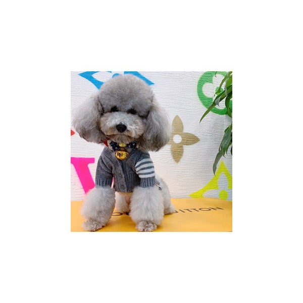 Sweater Autumn Winter Cardigan Cat and Dog Clothes Carousel 2