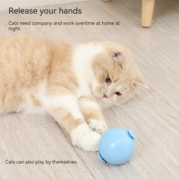 Electric Funny Cat Ball Cat Toy Carousel 2