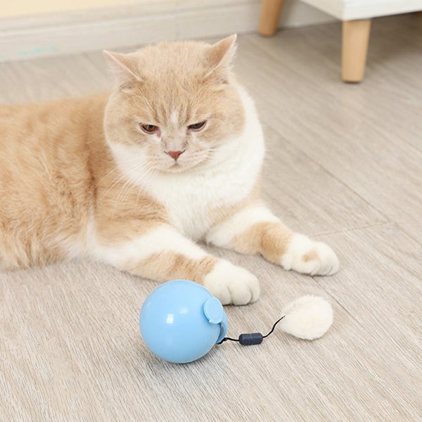 Electric Funny Cat Ball Cat Toy Carousel 5