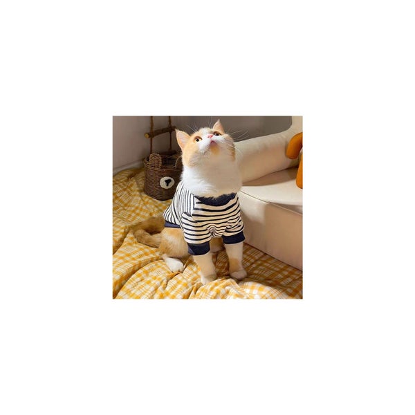 Adorable Lint-Resistant Four Season Pet Clothes Carousel 4