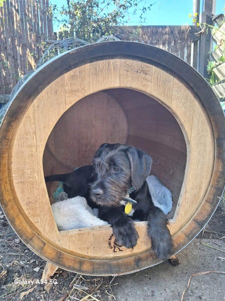 Wine Barrel Dog Kennel (Small / Medium Dog) Carousel 1