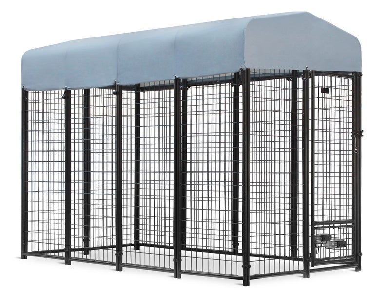 Dog Run62998398814083111