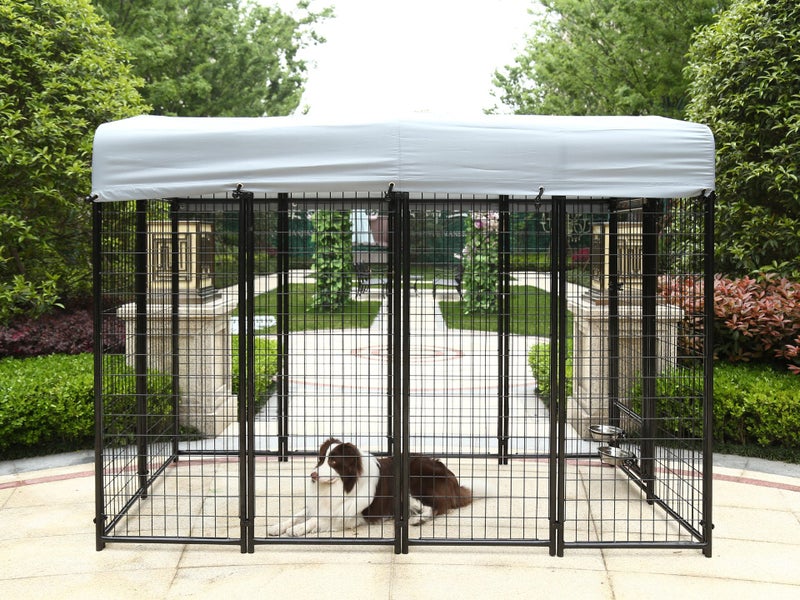 Dog Run62998398814083112