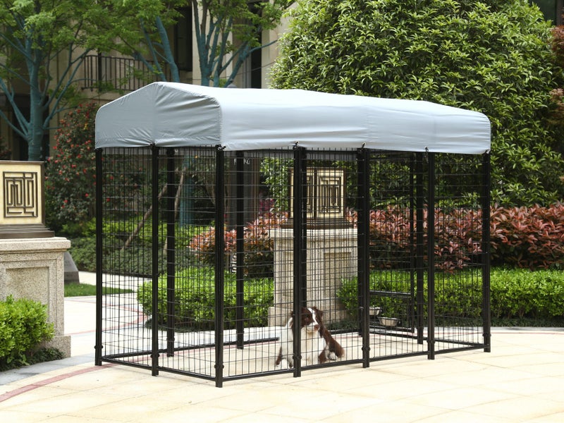 Dog Run62998398814083113