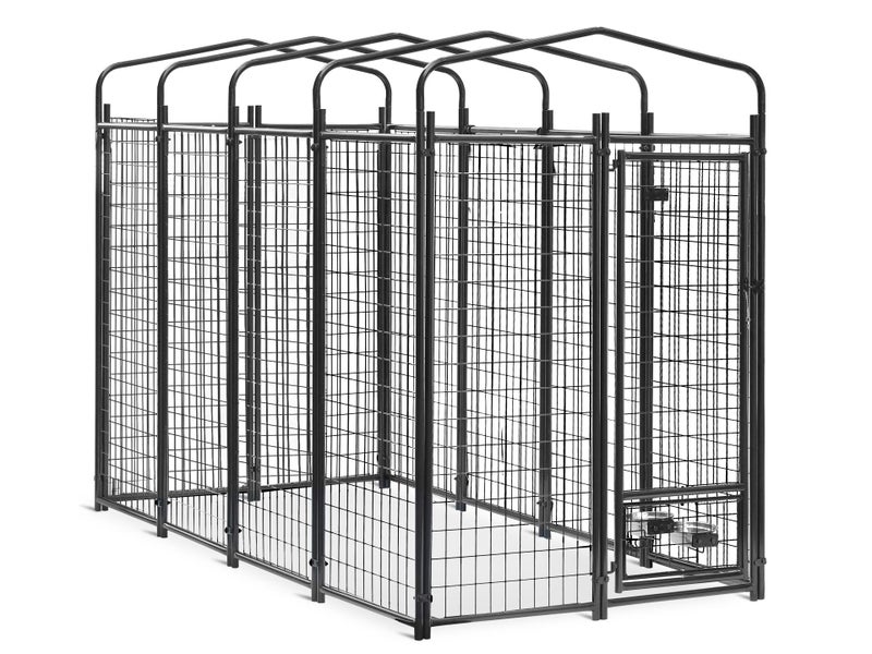 Dog Run62998398814083114