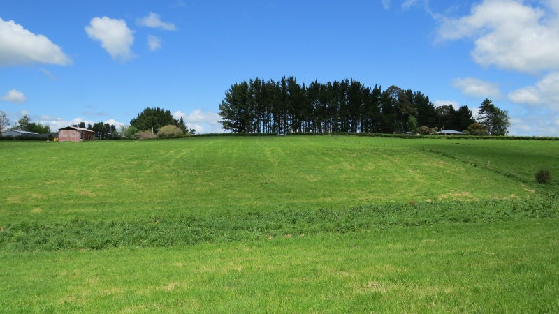 Waipa Rural properties | Trade Me Property