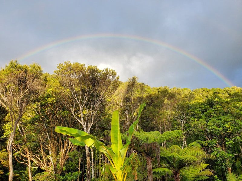 gallery carousel 20