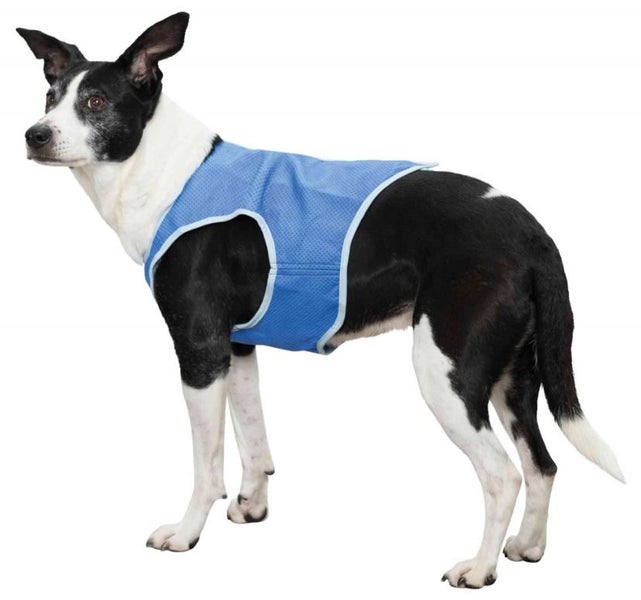 TRIXIE DOG COOLING COAT LARGE - LENGTH UP TO 35cm Carousel 1