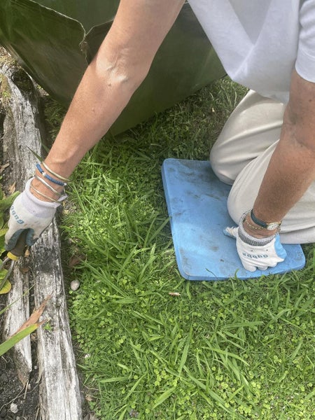 Gubba Kneeler Seat Pad Carousel 2