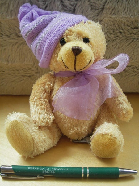 Purple Hat Bear - Keel - 14 cm sitting Carousel 1