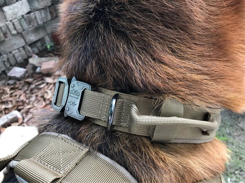Tactical Dog Collar Adjustable Military Training Nylon Dog Collar Metal Buckle Carousel 1
