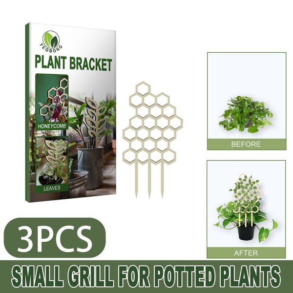 Plant Support Climbing Trellis i2524WT0 Carousel 2