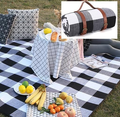 Picnic Blanket New Carousel 2