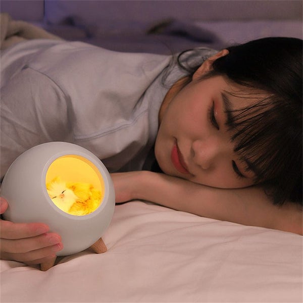 Cute Cat House Night Light Bedroom Table Lamp -White Carousel 4