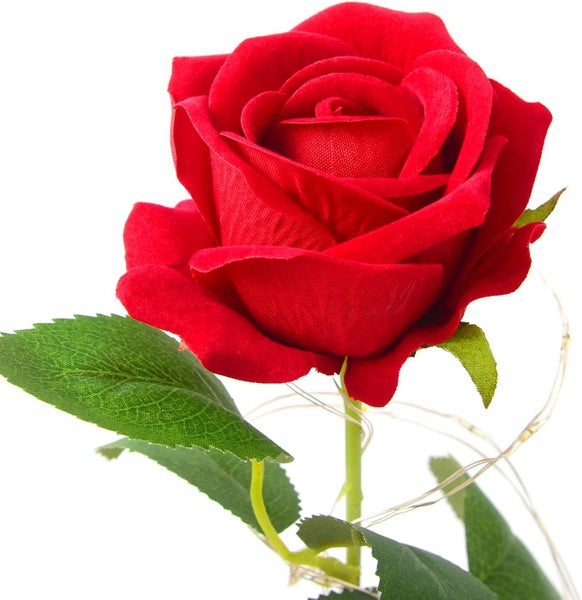 Red Romantic Rose, Rose in a Glass Dome with LED Light, Unique Gifts for Women Carousel 5