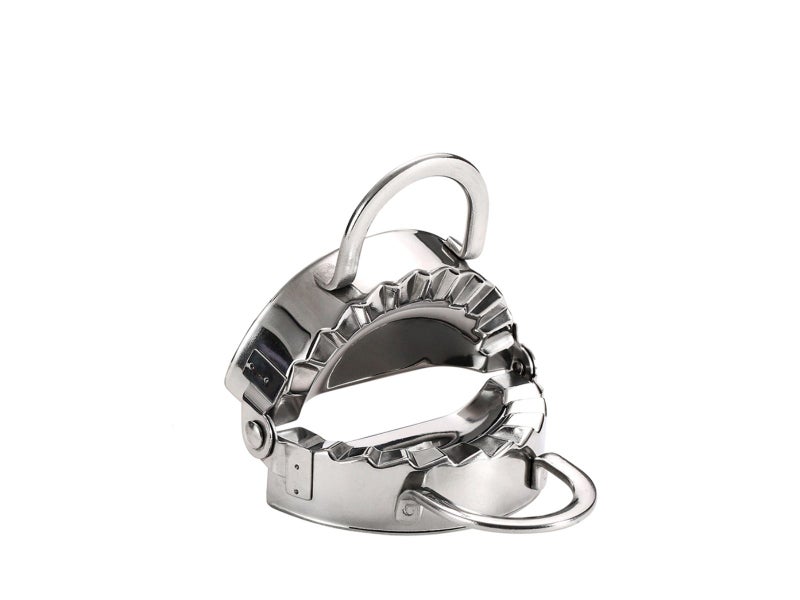 Stainless Steel Dumpling Maker Carousel 11