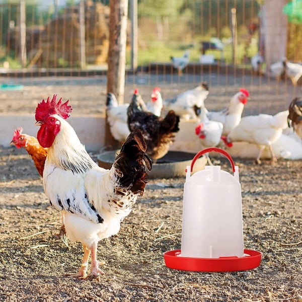 Chicken Feeder Sale NZ Stock Deal Carousel 11